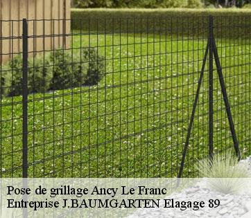 Pose de grillage  ancy-le-franc-89160 Entreprise J.BAUMGARTEN Elagage 89