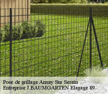 Pose de grillage  annay-sur-serein-89310 Entreprise J.BAUMGARTEN Elagage 89