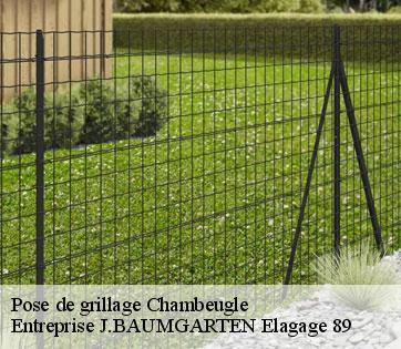 Pose de grillage chambeugle-89120 Entreprise J.BAUMGARTEN Elagage 89