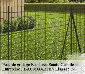 Pose de grillage  escolives-sainte-camille-89290 Entreprise J.BAUMGARTEN Elagage 89