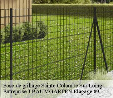Pose de grillage  sainte-colombe-sur-loing-89520 Entreprise J.BAUMGARTEN Elagage 89