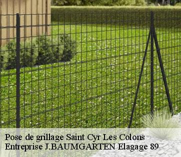 Pose de grillage  saint-cyr-les-colons-89800 Entreprise J.BAUMGARTEN Elagage 89