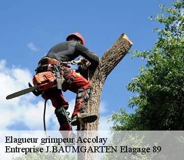 Elagueur grimpeur  accolay-89460 Entreprise J.BAUMGARTEN Elagage 89