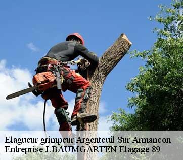 Elagueur grimpeur  argenteuil-sur-armancon-89160 Entreprise J.BAUMGARTEN Elagage 89