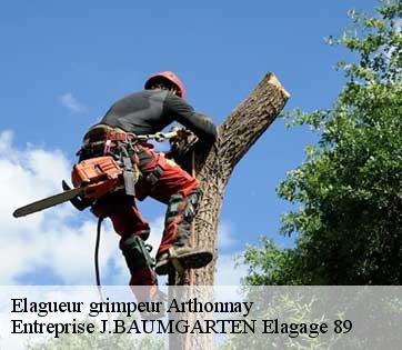 Elagueur grimpeur  arthonnay-89740 Entreprise J.BAUMGARTEN Elagage 89