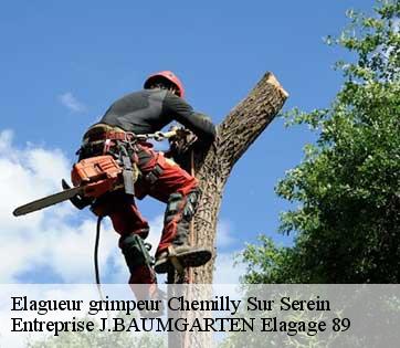 Elagueur grimpeur  chemilly-sur-serein-89800 Entreprise J.BAUMGARTEN Elagage 89