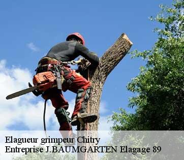 Elagueur grimpeur chitry-89530 Entreprise J.BAUMGARTEN Elagage 89