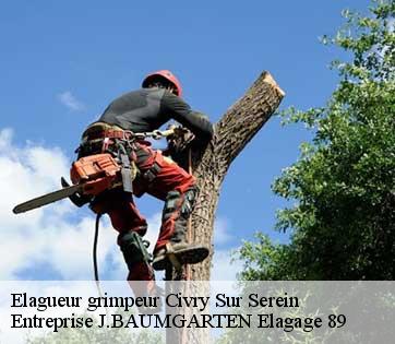 Elagueur grimpeur  civry-sur-serein-89440 Entreprise J.BAUMGARTEN Elagage 89