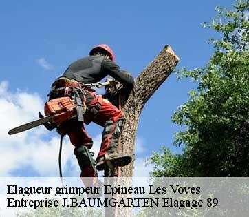 Elagueur grimpeur  epineau-les-voves-89400 Entreprise J.BAUMGARTEN Elagage 89