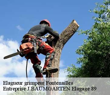 Elagueur grimpeur fontenailles-89560 Entreprise J.BAUMGARTEN Elagage 89