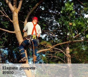 Elagueur grimpeur 89800