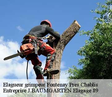 Elagueur grimpeur  fontenay-pres-chablis-89800 Entreprise J.BAUMGARTEN Elagage 89