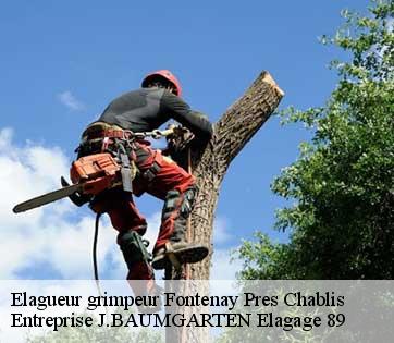Elagueur grimpeur fontenay-pres-chablis-89800 Entreprise J.BAUMGARTEN Elagage 89