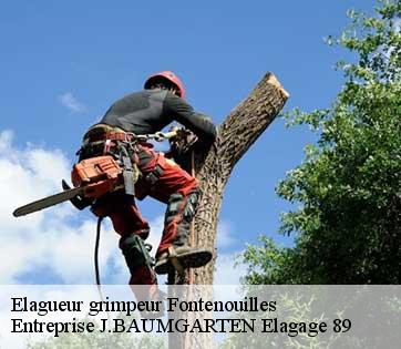 Elagueur grimpeur  fontenouilles-89120 Entreprise J.BAUMGARTEN Elagage 89