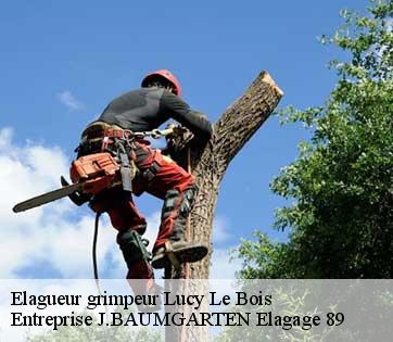 Elagueur grimpeur  lucy-le-bois-89200 Entreprise J.BAUMGARTEN Elagage 89