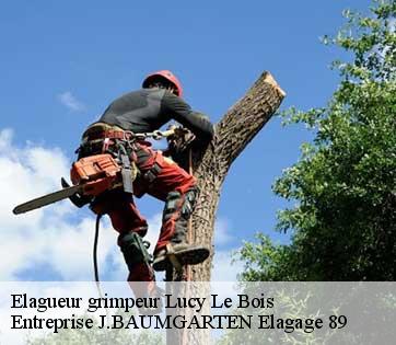 Elagueur grimpeur lucy-le-bois-89200 Entreprise J.BAUMGARTEN Elagage 89