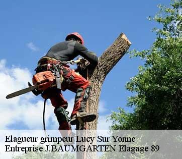 Elagueur grimpeur  lucy-sur-yonne-89480 Entreprise J.BAUMGARTEN Elagage 89