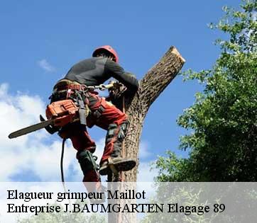 Elagueur grimpeur maillot-89100 Entreprise J.BAUMGARTEN Elagage 89