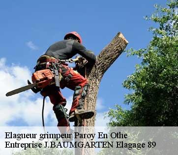 Elagueur grimpeur  paroy-en-othe-89210 Entreprise J.BAUMGARTEN Elagage 89