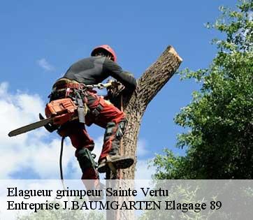 Elagueur grimpeur  sainte-vertu-89310 Entreprise J.BAUMGARTEN Elagage 89