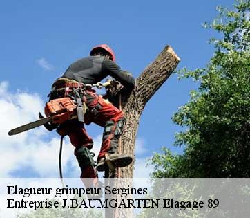 Elagueur grimpeur  sergines-89140 Entreprise J.BAUMGARTEN Elagage 89