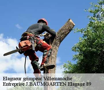 Elagueur grimpeur  villemanoche-89140 Entreprise J.BAUMGARTEN Elagage 89