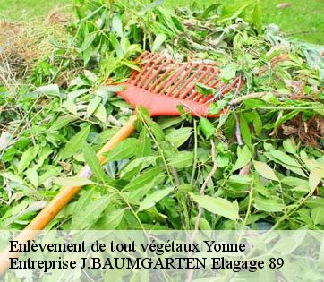 Enlèvement de tout végétaux 89 Yonne  Entreprise J.BAUMGARTEN Elagage 89