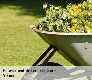 Enlèvement de tout végétaux Yonne 