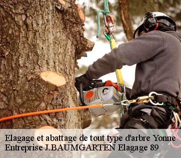 Elagage et abattage de tout type d'arbre 89 Yonne  Entreprise J.BAUMGARTEN Elagage 89