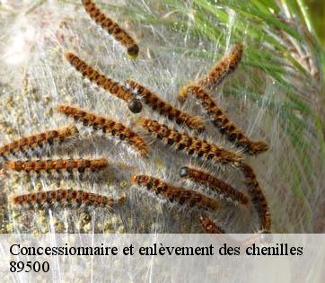 Concessionnaire et enlèvement des chenilles 89500