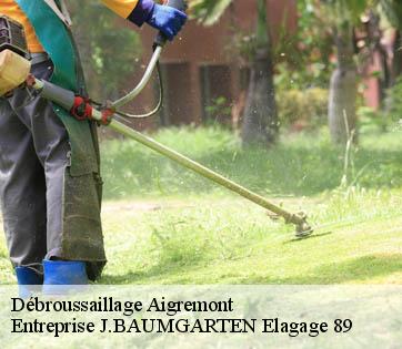 Débroussaillage  aigremont-89800 Entreprise J.BAUMGARTEN Elagage 89