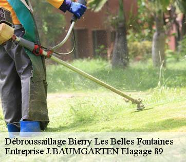 Débroussaillage  bierry-les-belles-fontaines-89420 Entreprise J.BAUMGARTEN Elagage 89