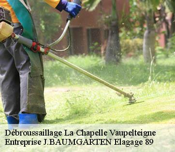 Débroussaillage la-chapelle-vaupelteigne-89800 Entreprise J.BAUMGARTEN Elagage 89