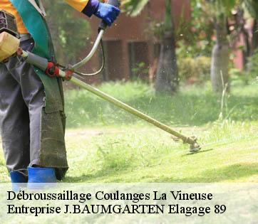 Débroussaillage coulanges-la-vineuse-89580 Entreprise J.BAUMGARTEN Elagage 89
