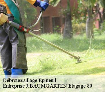 Débroussaillage  epineuil-89700 Entreprise J.BAUMGARTEN Elagage 89