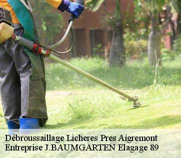Débroussaillage  licheres-pres-aigremont-89800 Entreprise J.BAUMGARTEN Elagage 89