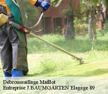 Débroussaillage maillot-89100 Entreprise J.BAUMGARTEN Elagage 89