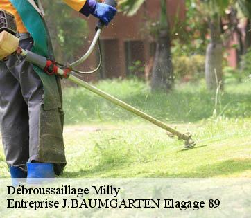 Débroussaillage  milly-89800 Entreprise J.BAUMGARTEN Elagage 89