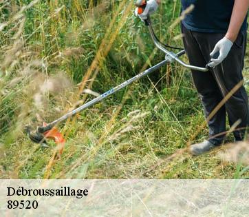 Débroussaillage 89520