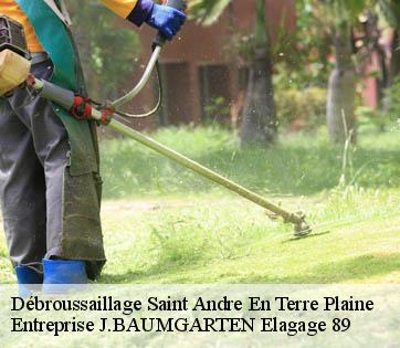 Débroussaillage saint-andre-en-terre-plaine-89420 Entreprise J.BAUMGARTEN Elagage 89