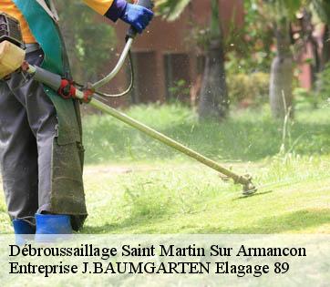 Débroussaillage saint-martin-sur-armancon-89700 Entreprise J.BAUMGARTEN Elagage 89