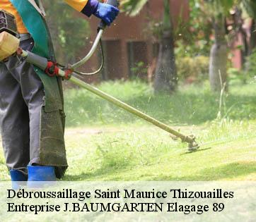 Débroussaillage  saint-maurice-thizouailles-89110 Entreprise J.BAUMGARTEN Elagage 89