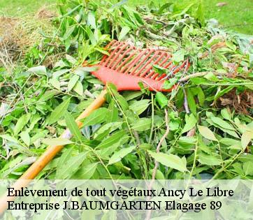 Enlèvement de tout végétaux ancy-le-libre-89160 Entreprise J.BAUMGARTEN Elagage 89