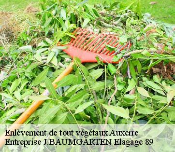 Enlèvement de tout végétaux  auxerre-89000 Entreprise J.BAUMGARTEN Elagage 89