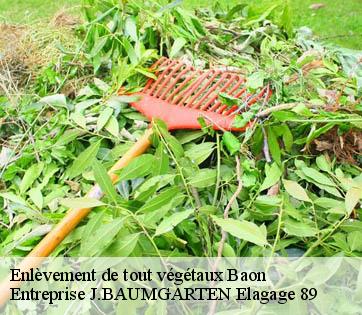 Enlèvement de tout végétaux  baon-89430 Entreprise J.BAUMGARTEN Elagage 89