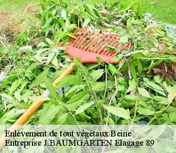 Enlèvement de tout végétaux  beine-89800 Entreprise J.BAUMGARTEN Elagage 89