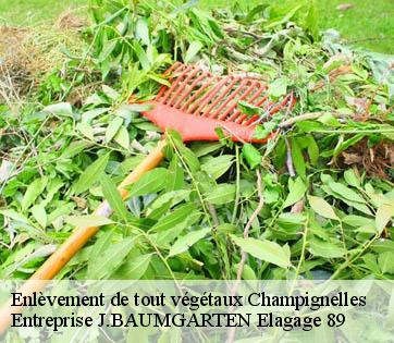 Enlèvement de tout végétaux  champignelles-89350 Entreprise J.BAUMGARTEN Elagage 89