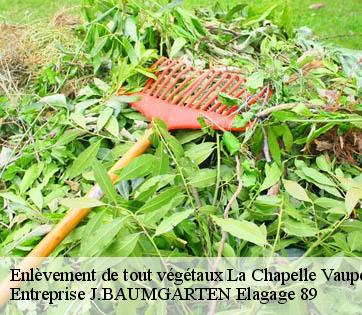 Enlèvement de tout végétaux  la-chapelle-vaupelteigne-89800 Entreprise J.BAUMGARTEN Elagage 89