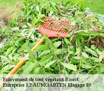 Enlèvement de tout végétaux  essert-89270 Entreprise J.BAUMGARTEN Elagage 89