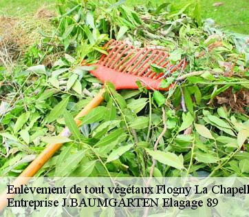 Enlèvement de tout végétaux  flogny-la-chapelle-89360 Entreprise J.BAUMGARTEN Elagage 89